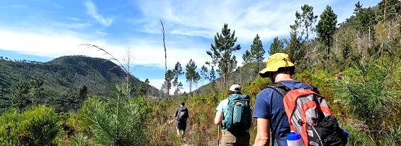 Tsitsikamma Trail